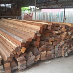 Timber Trader