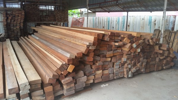 Timber Trader